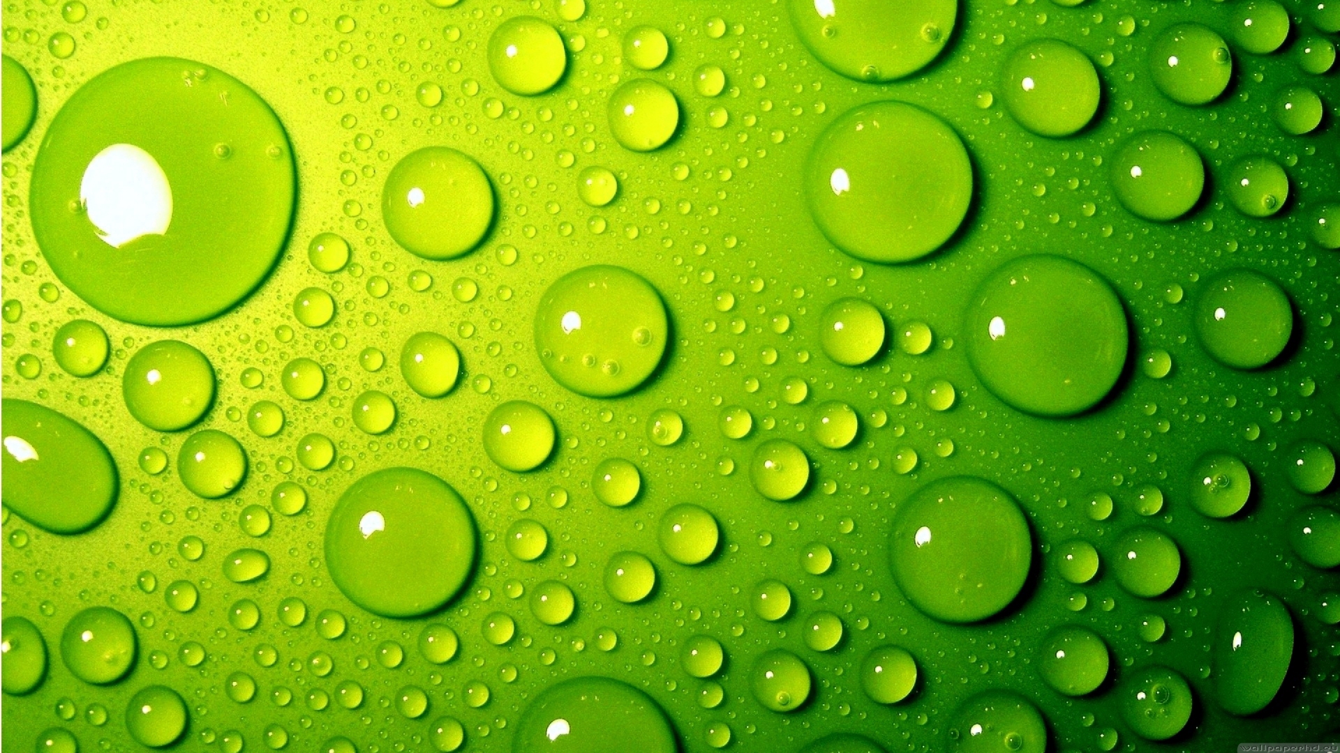 KZrqWsdIIycwKSphmmBr